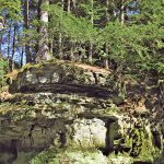 A tall rock formation submerged in a body of water. Trees grow at the top of the rock structure.