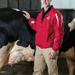 Paul Fricke standing in front of a large cow