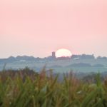 A zoomed in view of a sunsetting in the distance over grassland