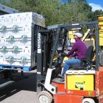 A person on a forklift moving a pallet of produce into the back of a truck.