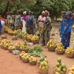 Women standing in a line with many baskets full of mangos
