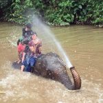 Three people sitting on the back of an elephant as it wades through high water