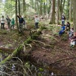groups of student collect in a clearing in the woods around fallen trees and beside a fall stream to learn