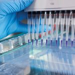 A gloved hand squeezing a series of pipets onto glass