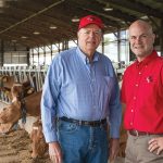 Two men posed in front a row of cows eating hay