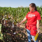 A woman standing among short corn plants in a field