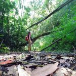 A women standing in a dense rainforest looking up through the trees up to the sky