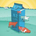An illustration of a giant carton of A2 milk in a pasture with small cows grazing around it.