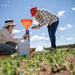 Two women crouching down to the ground on a field installing a funnel filtration system.