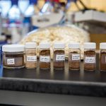 A line of nine jars sitting on a lab table. Each jar is labeled and contains a different powder substance.