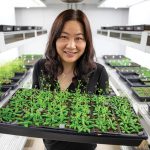 A women holding a plant box full of many small plants in a room lined with shelves of more small plants.