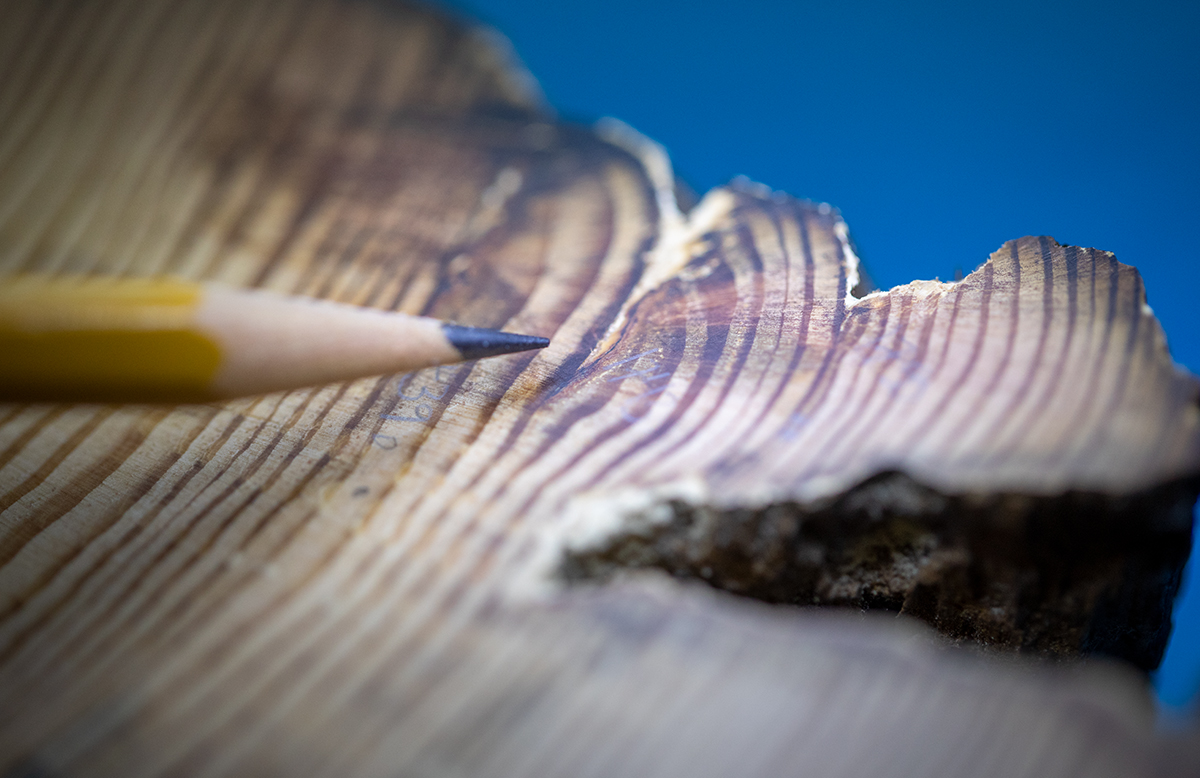 Once And Future Wildfires Grow Magazine