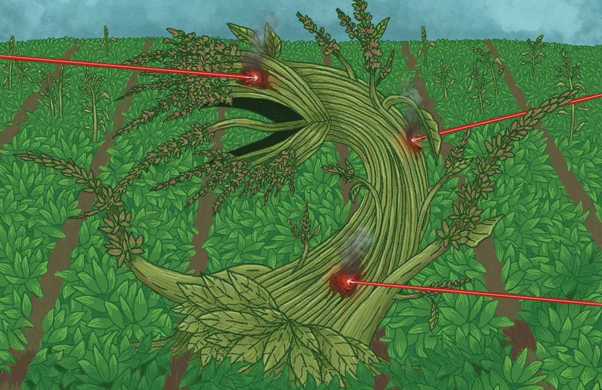 An illustration of a weed monster in a field that's being attacked by three lasers.