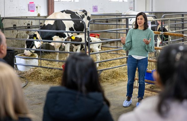 Professor Laura Hernandez standing in front of a cow pin talking to a group of people. 