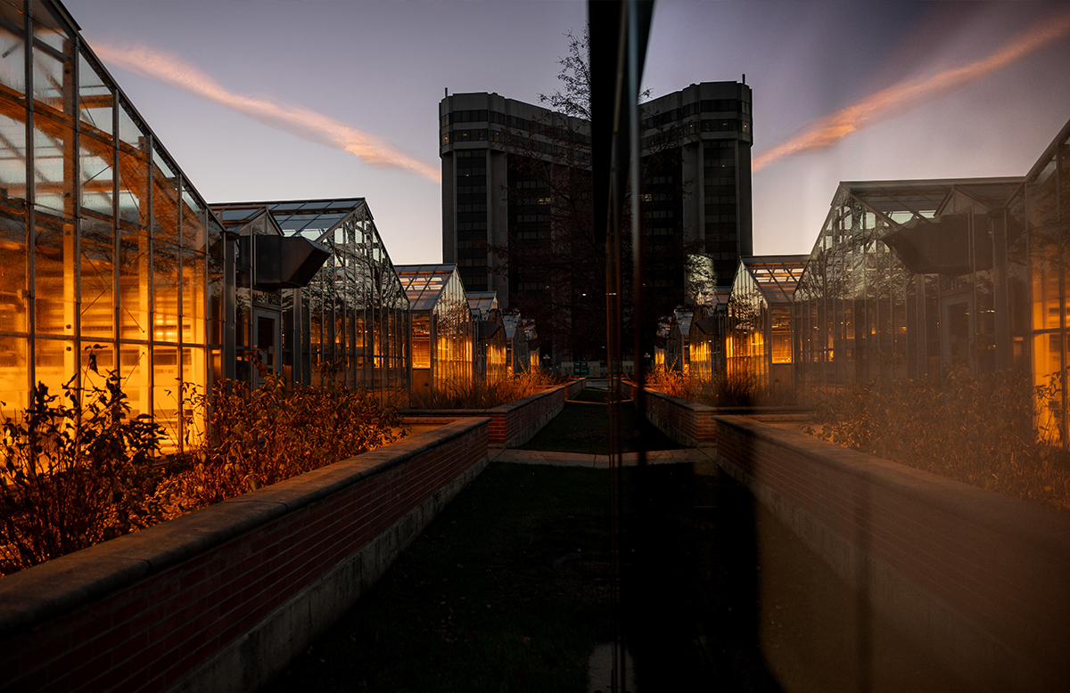 A reflection of the Walnut Street Greenhouses in glass.