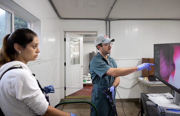 Two adults looking at a large monitor screen showing colon tissue samples.