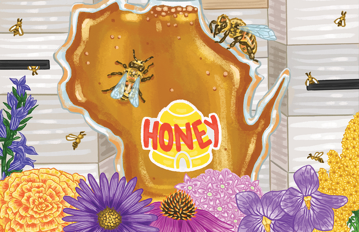 An illustration of a jar of honey. The jar is shaped like the state of Wisconsin. At the bottom of the is full of flowers. Behind the jar of honey are boxes of bee hives. Flying around these elements are honey bees.