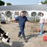 A man walks over to a few students and is speaking to them. Behind him follows a cow.