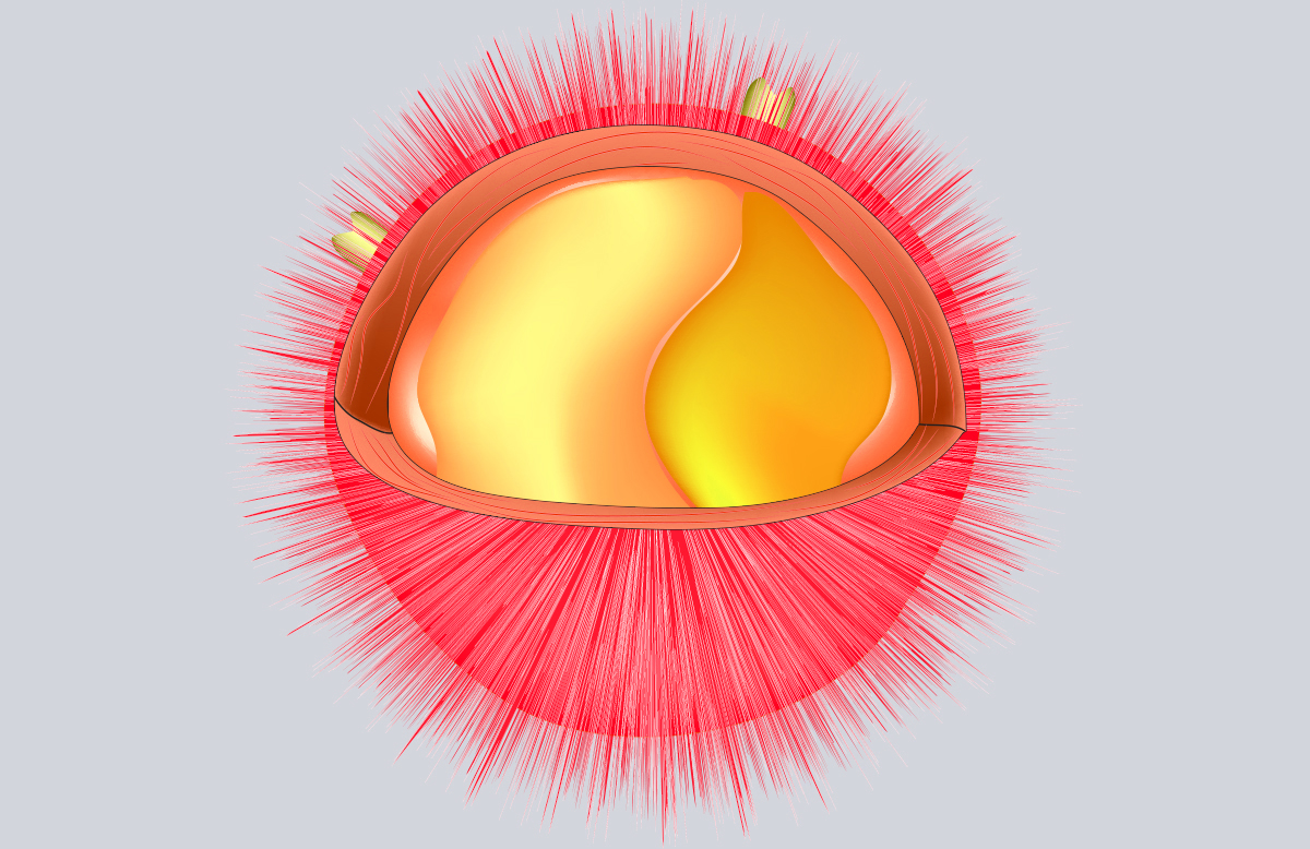 An scientific illustration of an animal cell organelle called a lysosome, depicted as pink sphere with hundreds of pink extensions like needles radiating from its surface. A portion of the sphere is cut open, revealing a golden-colored center.