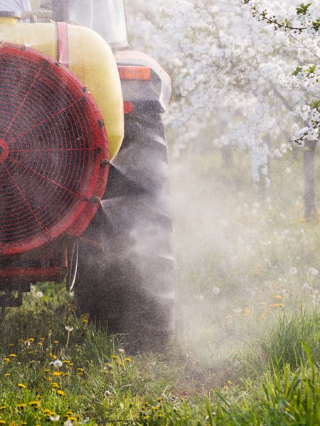 The backside of a tractor as it drives down a row of an apple orchard. As the tractors drives, it's spraying a misty liquid to either side.