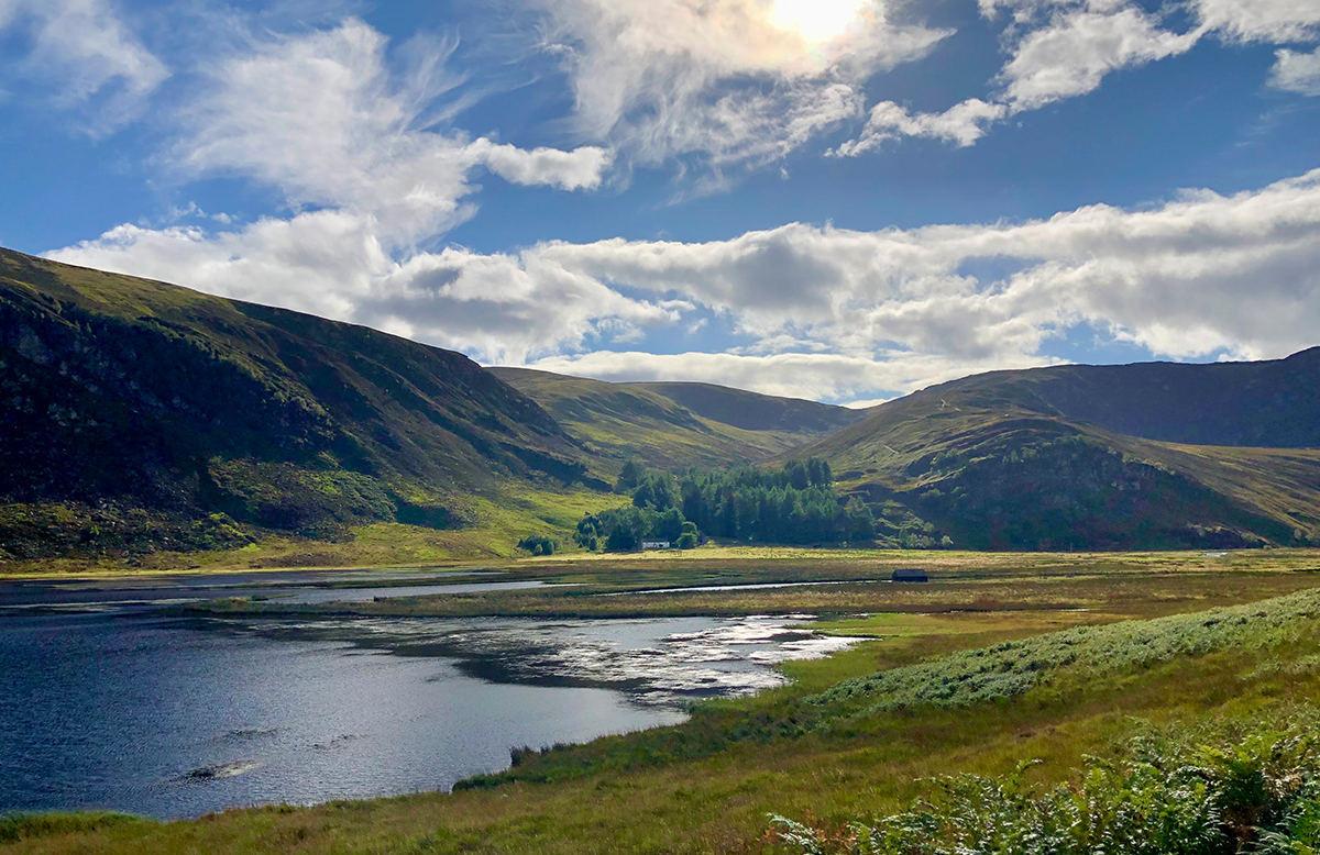 A landscape on a hilly wetland. There is a small lake at the foot of the large rolling hills in the background.
