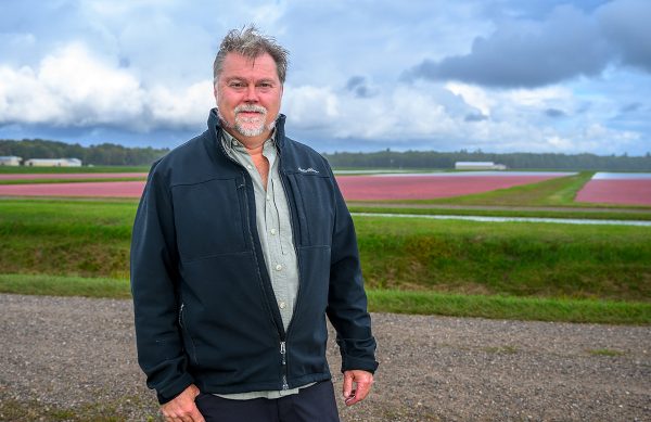 A man stands at the edge of a cranberry bog and smiles.