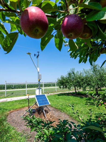 A tall metal tripod shaped machine with a small solar panel attached to the front sits at the edge of an apple orchard.